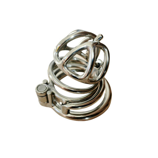 Custom PA Titanium Male Chastity Cage - Prince Albert Piercing Metal Cock Cage for Men, BDSM Bondage Restraint CBT Penis Lock