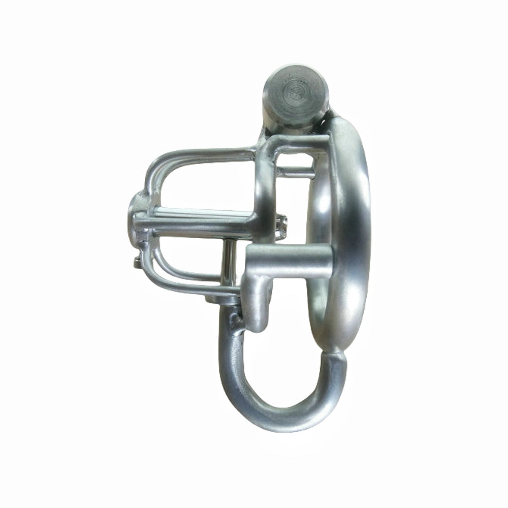 Custom PA Steel Male Chastity Cage - Prince Albert Piercing Metal Cock Cage for Men CBT Penis Restraint Adult Sex Toy